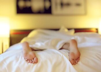 Bettwanzen in der Mietwohnung: Wer zahlt, wer handelt?