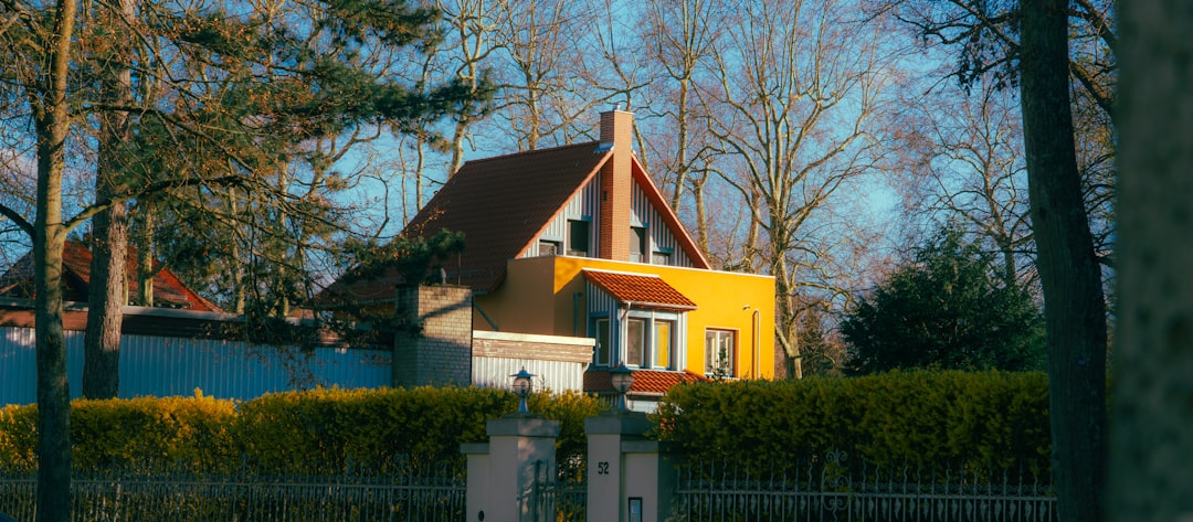 Hausbau planen in Deutschland: Ein Überblick der wichtigsten Phasen